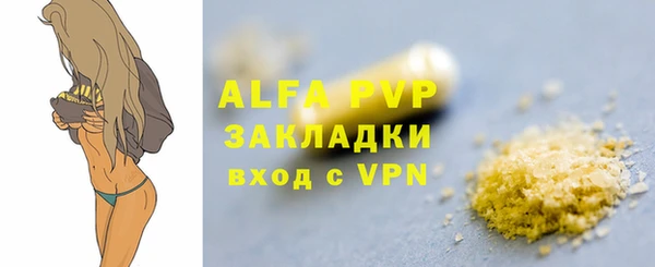 эйфоретик Богданович