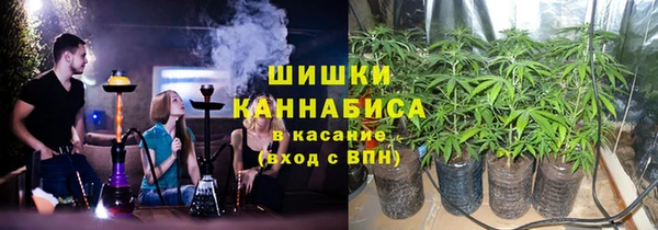 эйфоретик Богданович