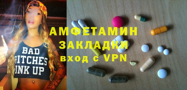 мдпв Каменка
