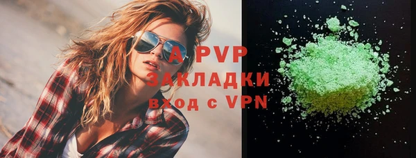 эйфоретик Богданович