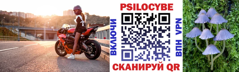 Галлюциногенные грибы Cubensis  Давлеканово 