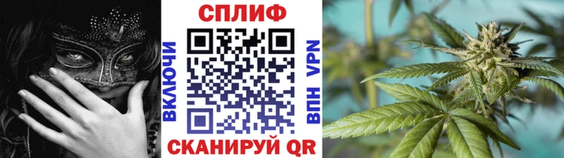 Конопля Bruce Banner Давлеканово